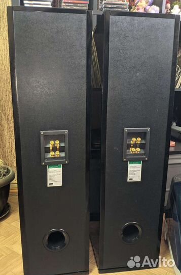 Pure Acoustics dream 76 Акустика из США