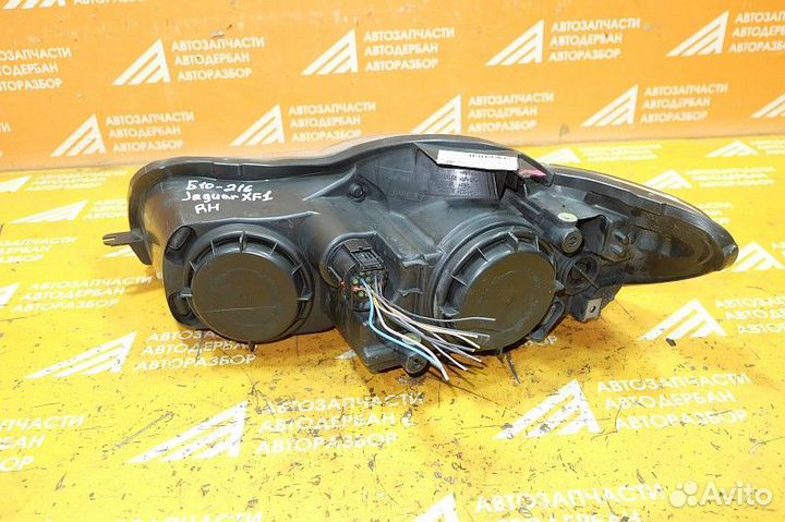 Фара правая Jaguar XF X250 (2007-2011)