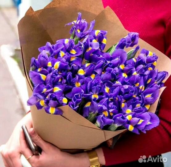 Ирисы букет цветок