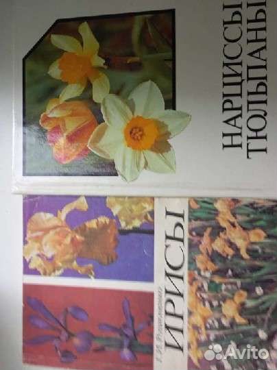 Книги для обучения география, история англ.й СССР