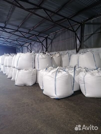 Семена мягкой пшеницы