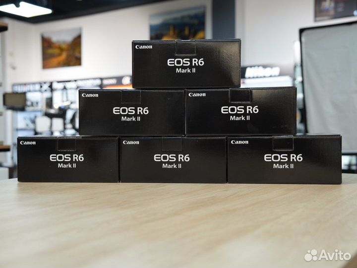 Canon EOS r6 mark ii body