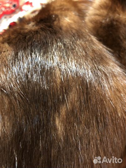 Шкурка животного