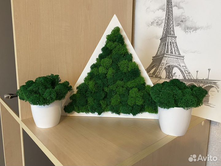 Кашпо Треугольник со стабилизированным мхом