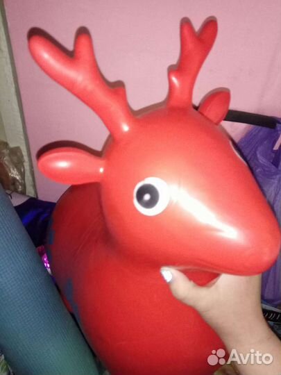 Ослик прыгун