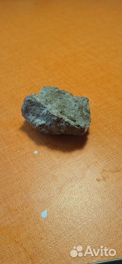 Кирпич, асфальт и камень. Одомашненные