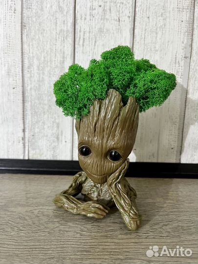 Кашпо декоративное со стабилизированным мхом