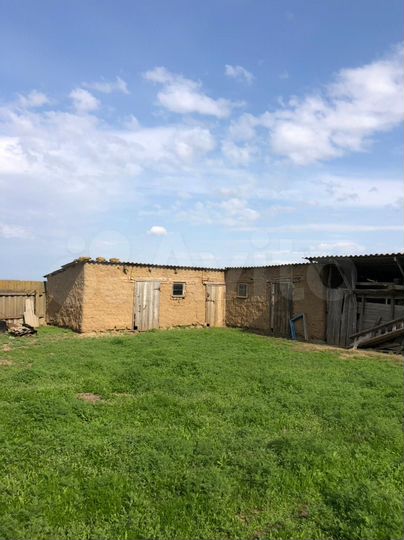 Дом 51,8 м² на участке 21 сот.