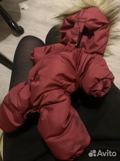 Одежда для собак