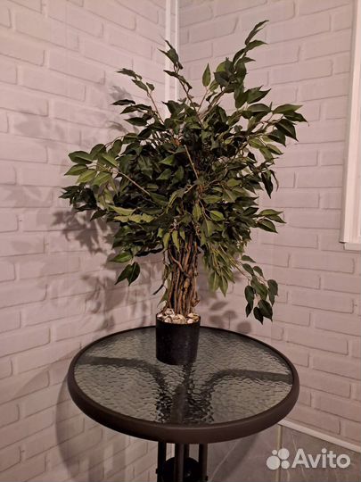 Комнатные растения искусственные