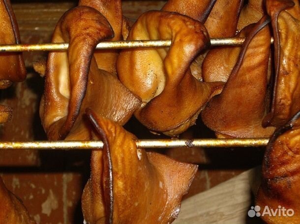 Домашнее копчение(сало, грудинка, уши, рёбра)