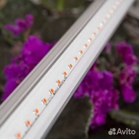 Фито светильник эра fito-14W-Т5-Ra90, длина 1 метр