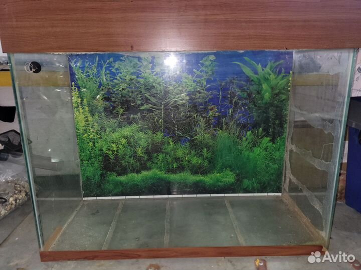 Аквариум на 50 литров