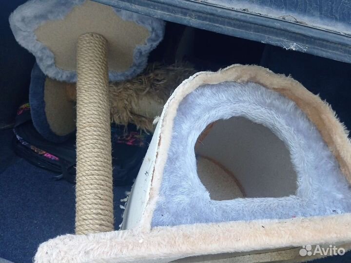 Когтеточка домик для кошки