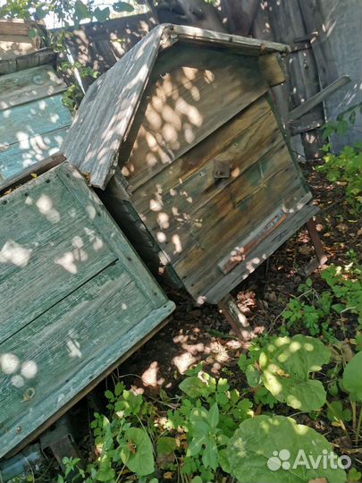 Ульи для пчел