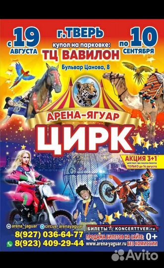 Билеты цирк