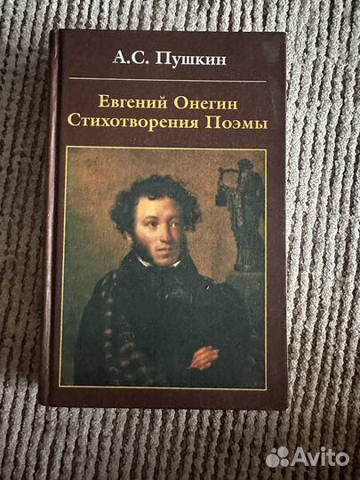 А.С.Пушкин Евгений Онегин стихотворения поэмы