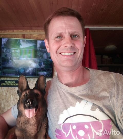 Дрессировка,выгул,передержка собак с кинологом