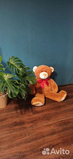 Медведь большой