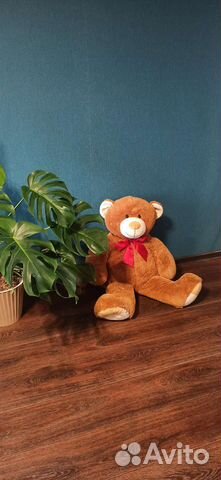 Медведь большой