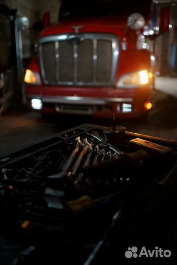 Автоэлектрик с выездом только оживление авто 24 7