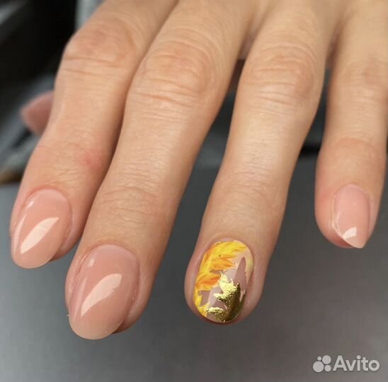 Тоебуеться модель на наращивание