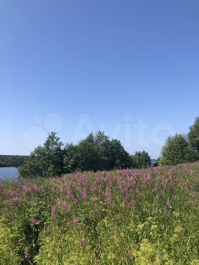 Участок 30 сот. (ИЖС)