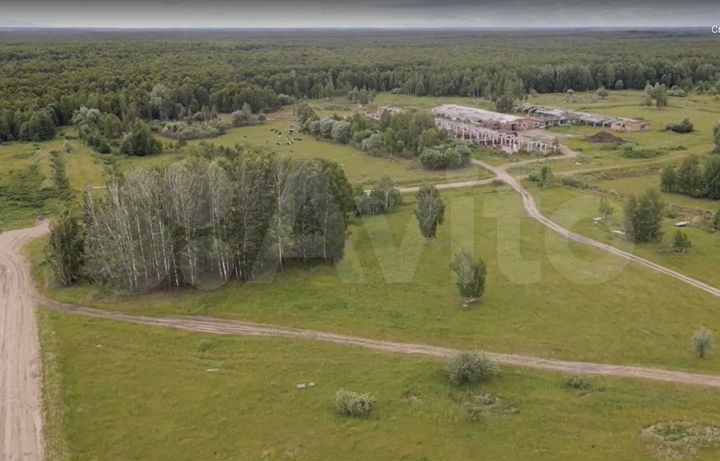 Участок 19,96 га (ИЖС)