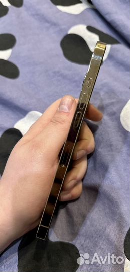 iPhone 12 Pro Max, 128 ГБ