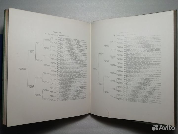 1901 год. История английских скачек. 32х26см. 6/6