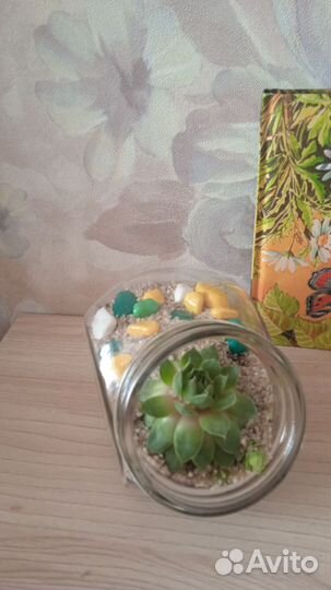 Флорариум мини