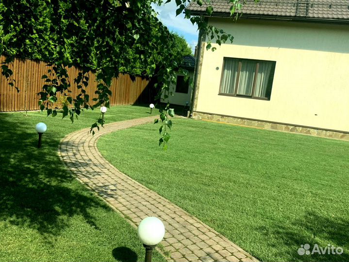 Рулонный газон 