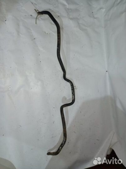 Стабилизатор поперечной устойчивости передний