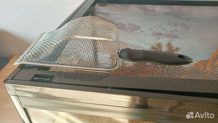 Черепаха сухопутная с террариумом