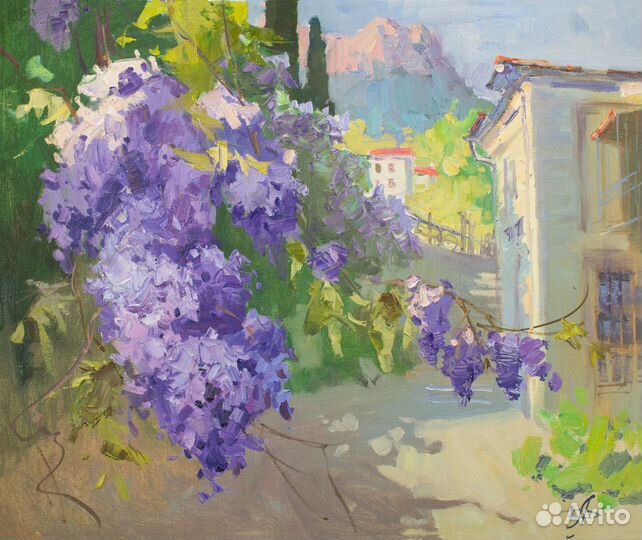 Симеиз. Цветущая Глициния, кисти А. Давыдченко