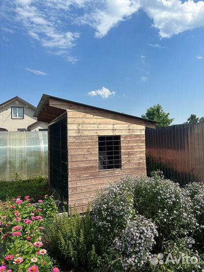 Вольер для собак б/у