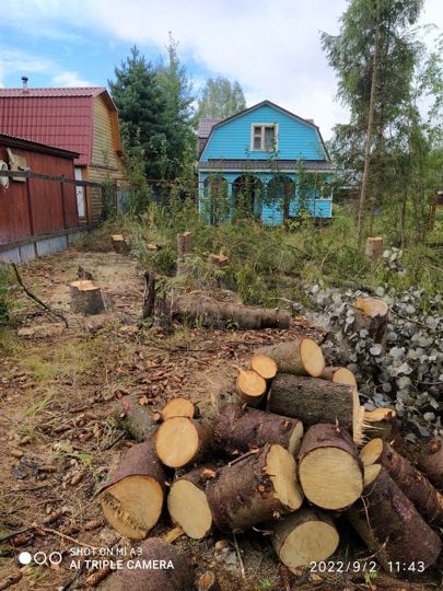 Участок 12 сот. (СНТ, ДНП)