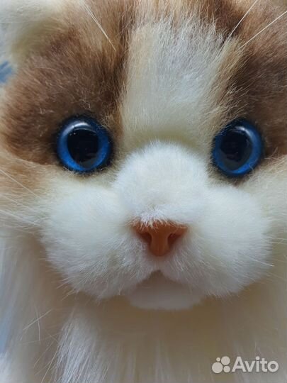 Реалистичная игрушка. Кот Чонгер. Новый