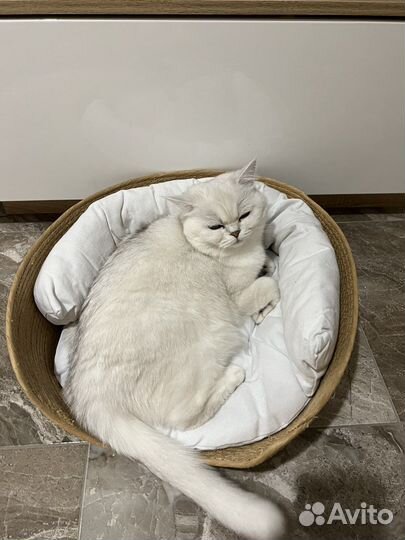 Лежанка для кошек