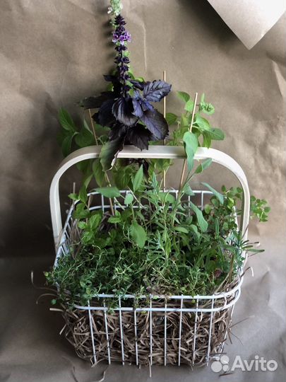 Букет из пряных трав в корзинке
