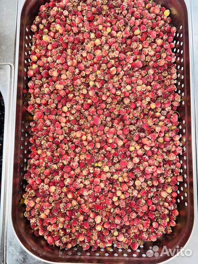 Клубника лесная- Смородина