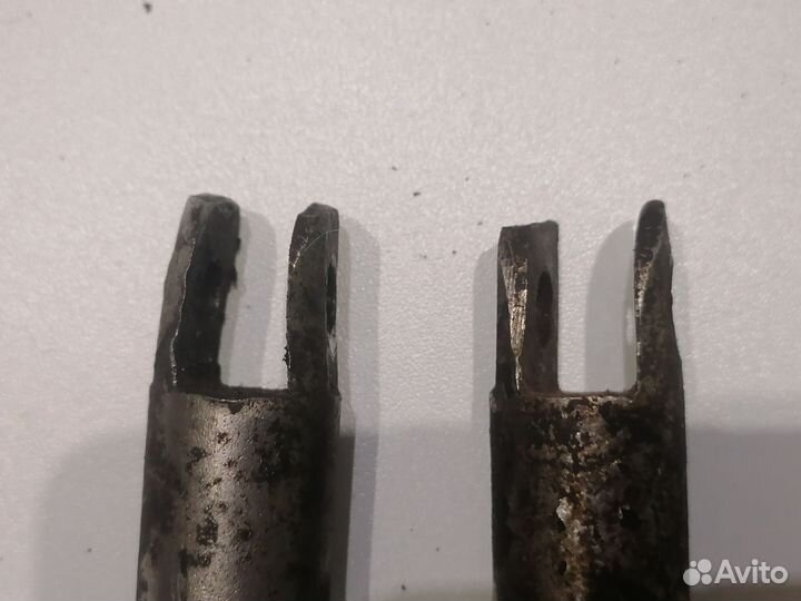 Ножки на восход