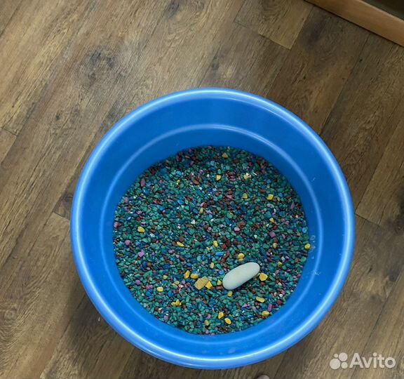 Аквариум для красноухой черепахи