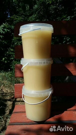 Мед Алтайский с личной пасеки