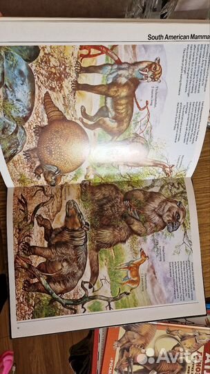 Атлас доисторический мир нас английском