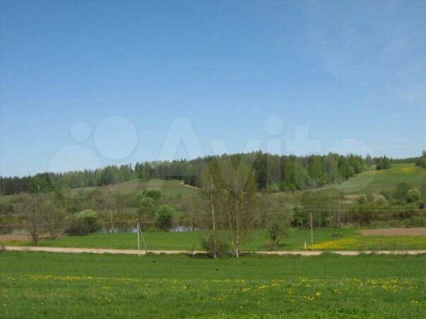 Участок 1,2 га (ИЖС)