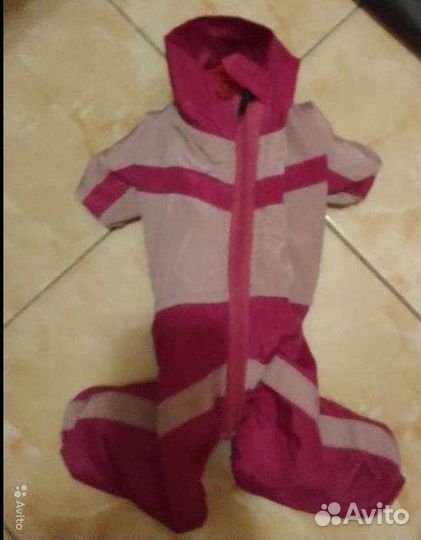 Одежда для маленьких собачек Йорка