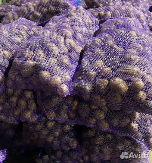 Картошка продажа