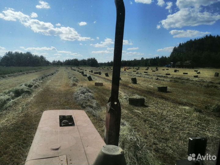 Сено В тюках кипах 2024