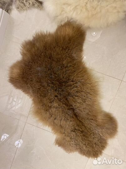 Шкура овечья